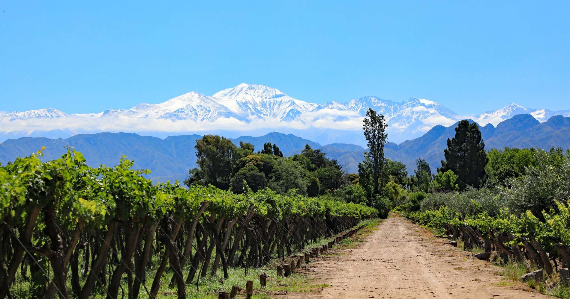 Mendoza y Termas de Cacheuta